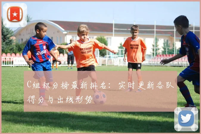 C组积分榜最新排名：实时更新各队得分与出线形势